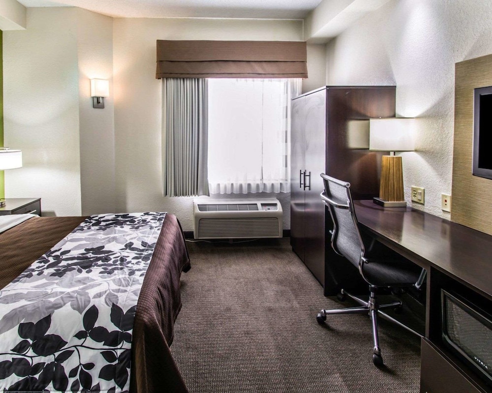 Standard Room, 1 King Bed, Non Smoking - Photo 3