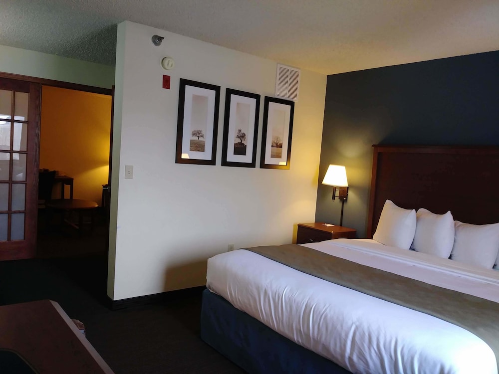 Deluxe Studio Suite, 1 King Bed, Non Smoking - Photo 3