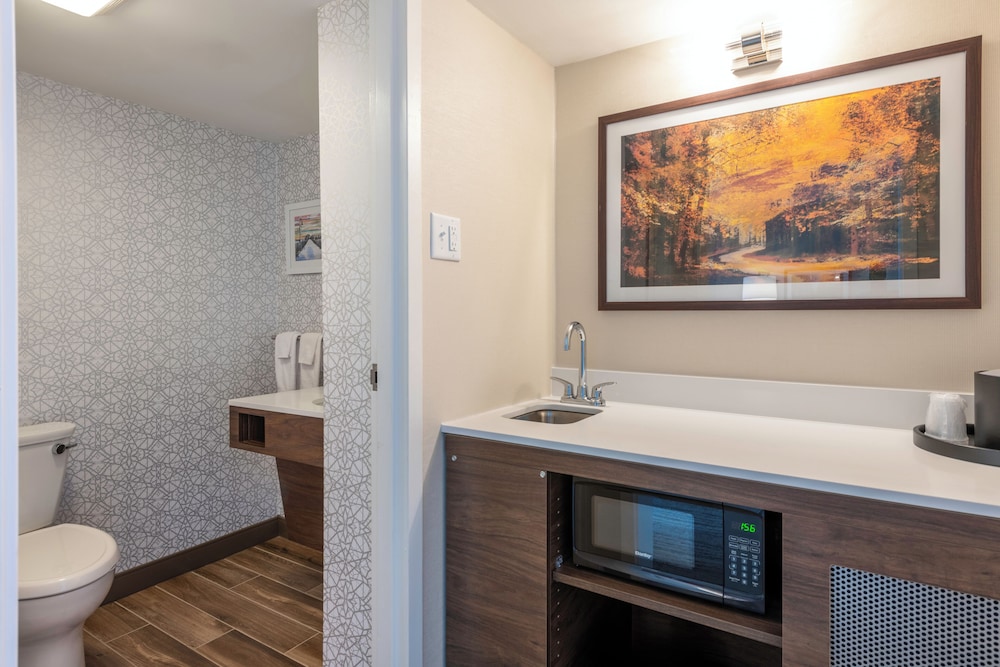 Suite, 1 King Bed, Accessible (Mobility & Hearing, Roll-in Shower) - Photo 2