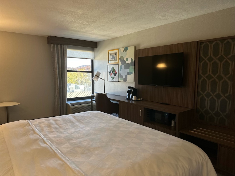 Standard Room, 1 King Bed - Photo 5