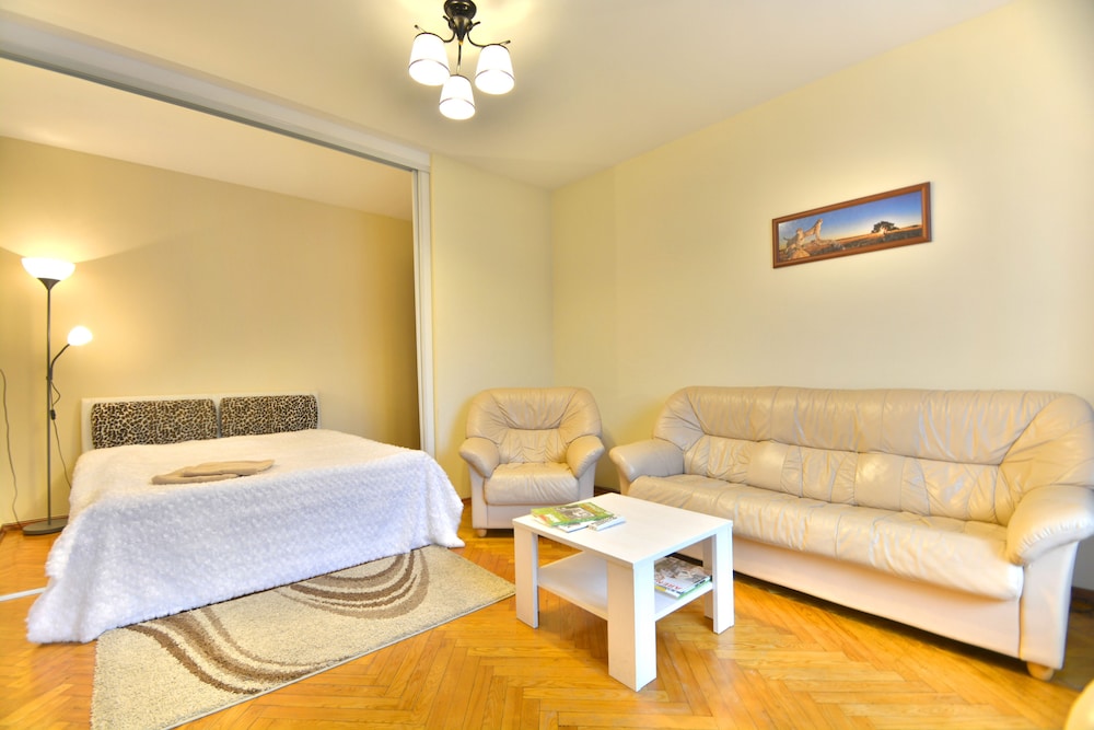 Basic Apartment, 1 Queen Bed, Kitchen (Miasnikova, 34)