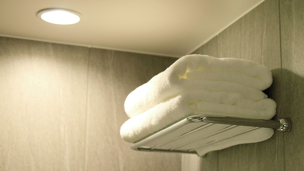 Deluxe Double Room, 1 King Bed, Non Smoking, Private Bathroom - Photo 17