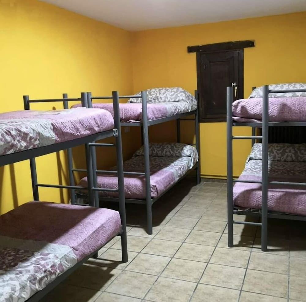 Basic Shared Dormitory photo 3