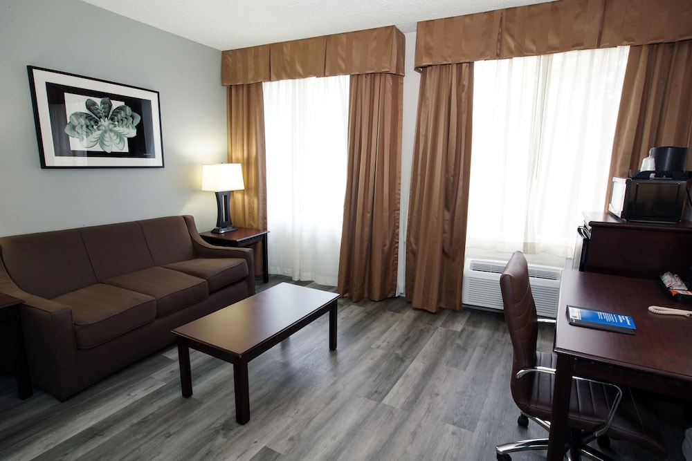 Suite, 1 King Bed, Non Smoking, Refrigerator & Microwave (Larger Room;with Sofabed) - Photo 4