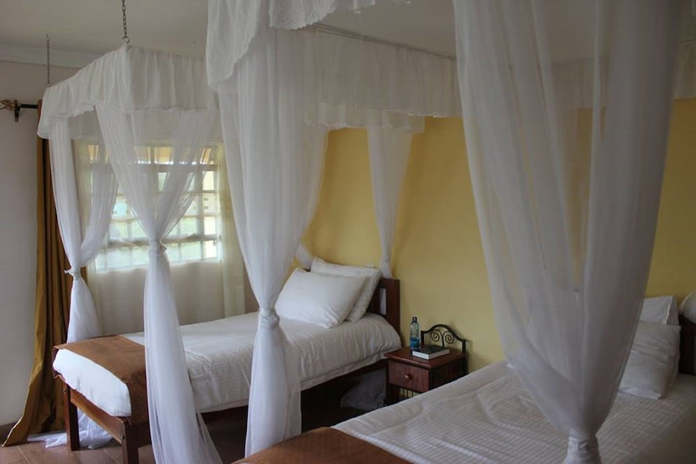 Twin Room photo 3