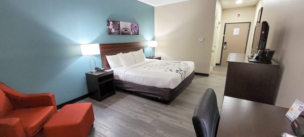 Standard Room, 1 King Bed, Non Smoking - Photo 4