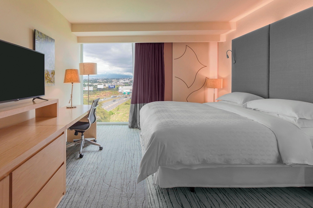 Room, 1 King Bed, Mobility Accessible (High Floor, Roll-In Shower)