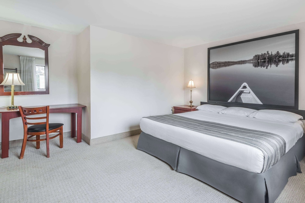 Suite, 1 King Bed, Refrigerator photo 3
