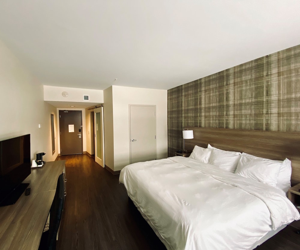 Room, 1 King Bed with Sofa bed, Non Smoking photo 2
