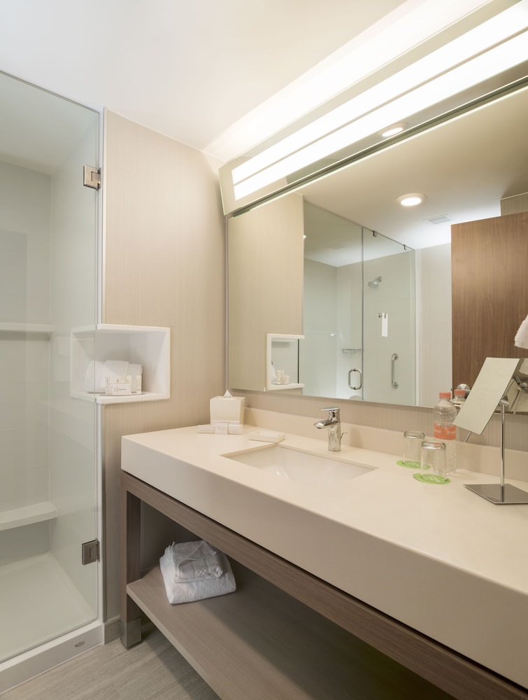 Suite, 1 Bedroom photo 2