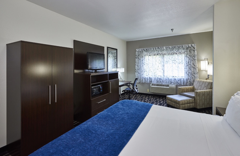 Standard Room, 1 King Bed with Sofa bed, Accessible (Mobility, Access Tub) photo 3