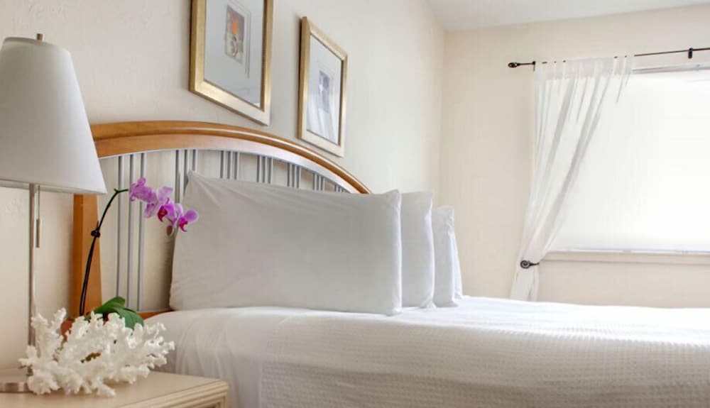Apartment Suite 1 King (1 King Bed)
