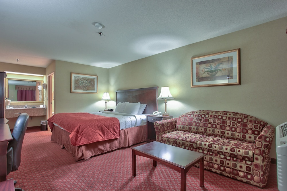 Room, 1 King Bed, Smoking
