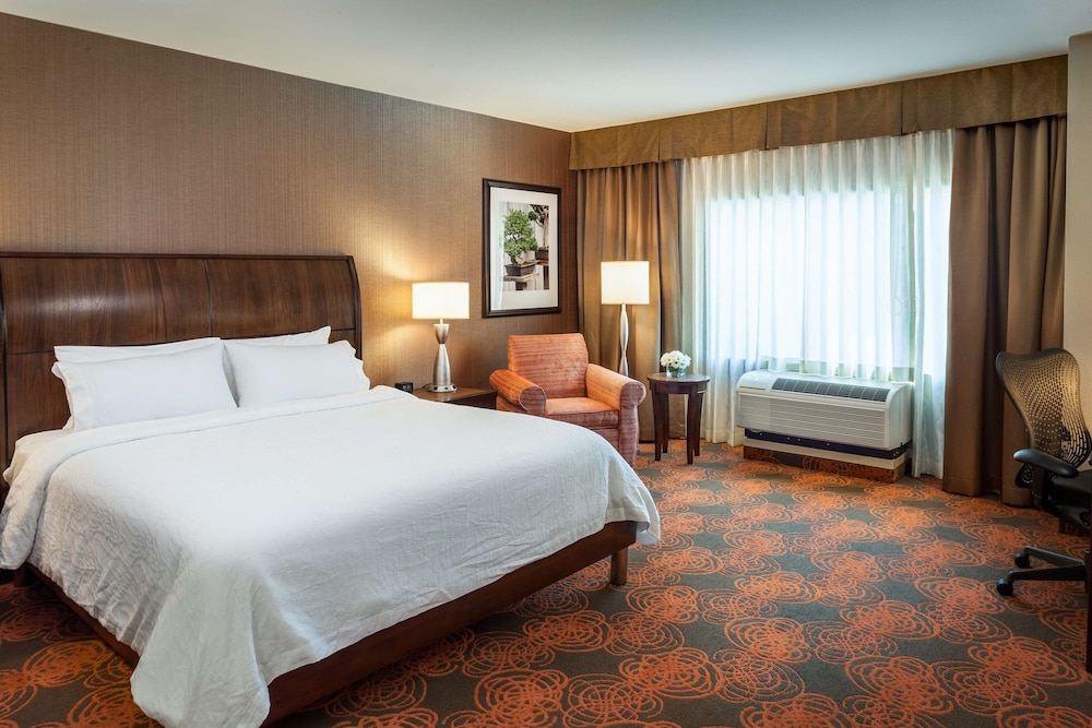 Room, 1 King Bed, Accessible (Luxury Bathroom - 3x3 Shower) photo 3