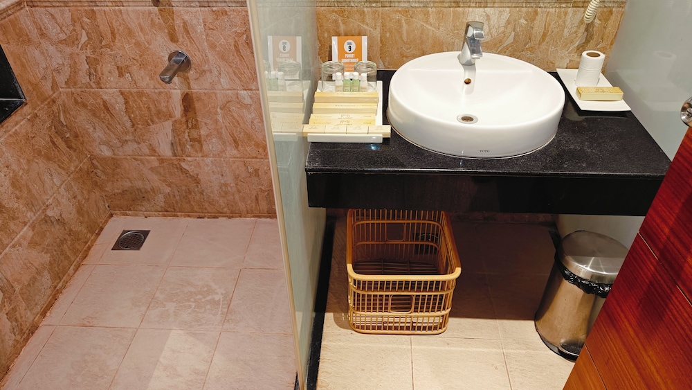 Luxury Suite - Photo 19