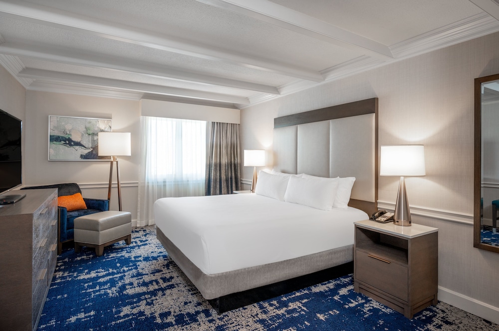Executive Suite, 1 King Bed - Photo 1