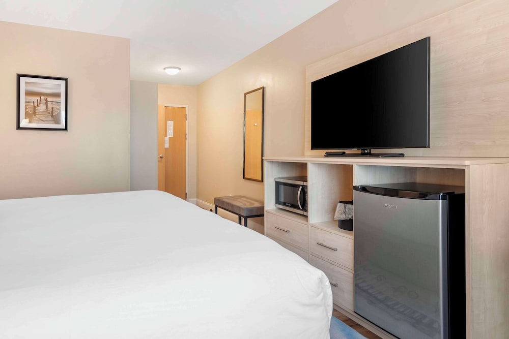 Standard Room, 1 King Bed, Non Smoking - Photo 4