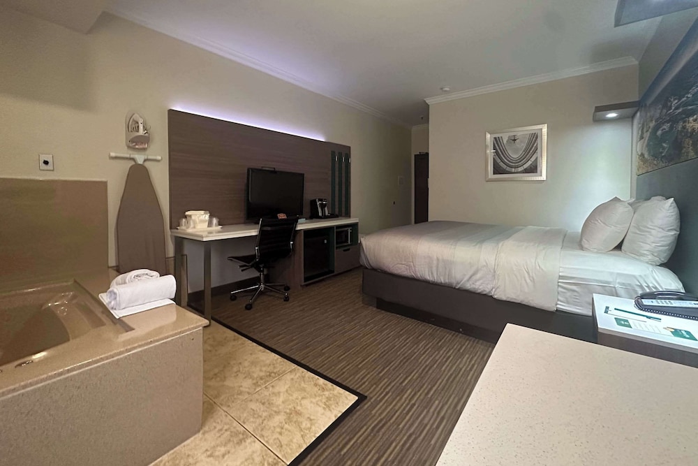 Deluxe Room, 1 King Bed, In-Room Jetted Tub, Non Smoking - Photo 3