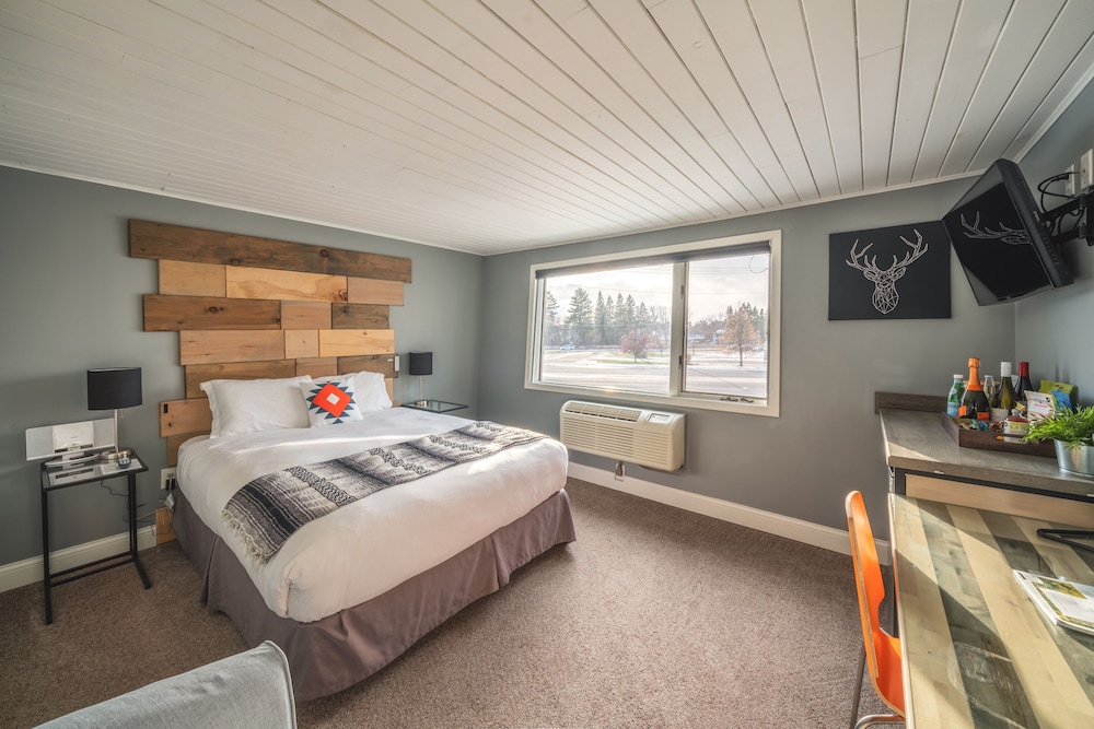 Comfort Single Room, 1 Queen Bed photo 3
