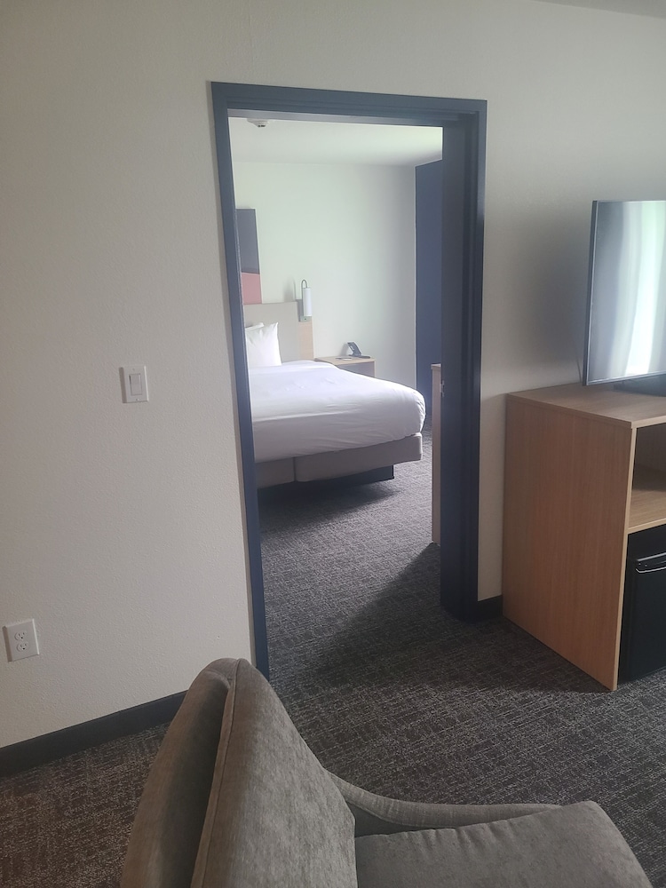 Deluxe Suite, 1 King Bed With Sofa Bed, Non Smoking, Kitchenette photo 3