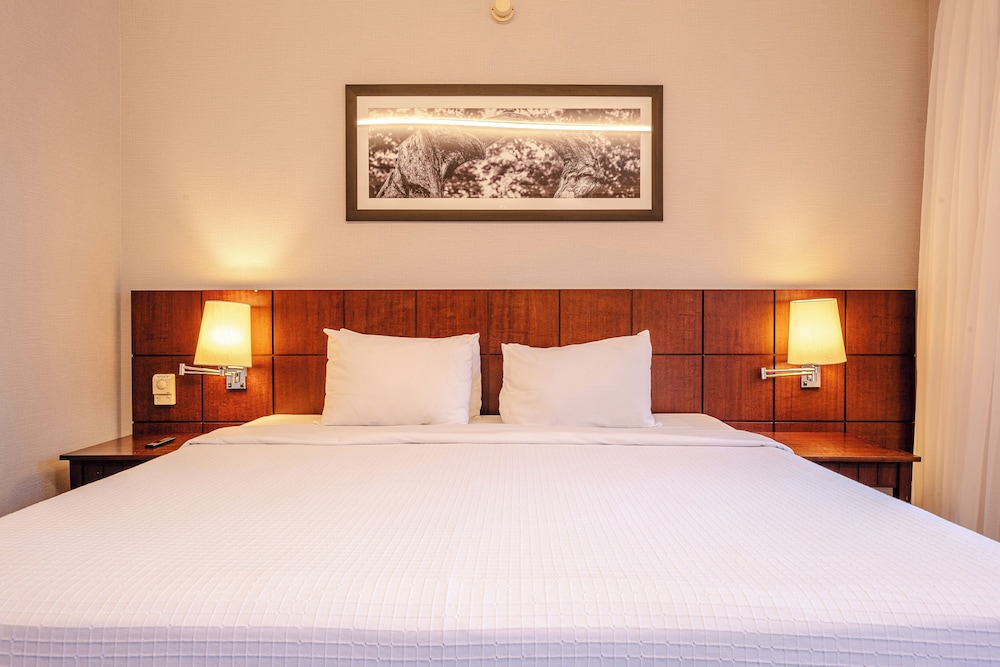 Premier Double Room - Photo 13
