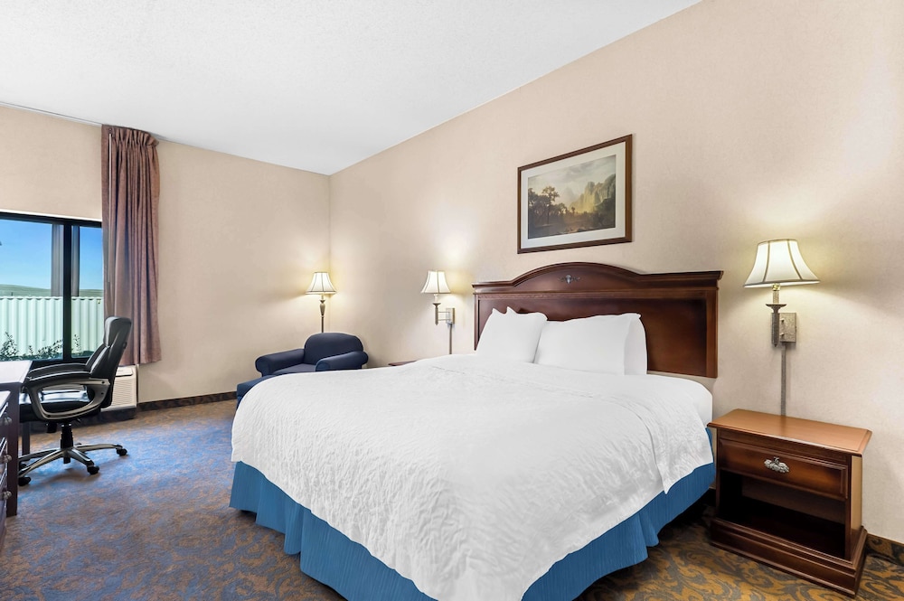 Standard Room, 1 King Bed, Non Smoking, Refrigerator & Microwave photo 1