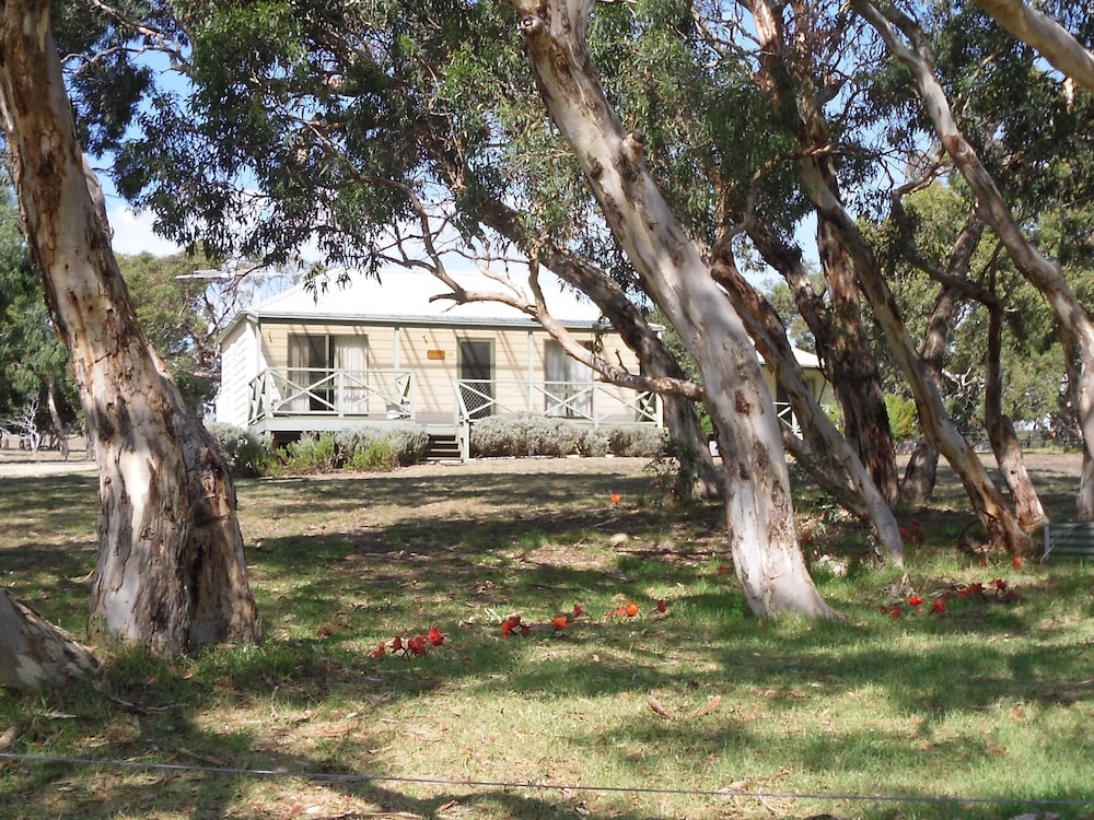 Lavender Cottage photo 1