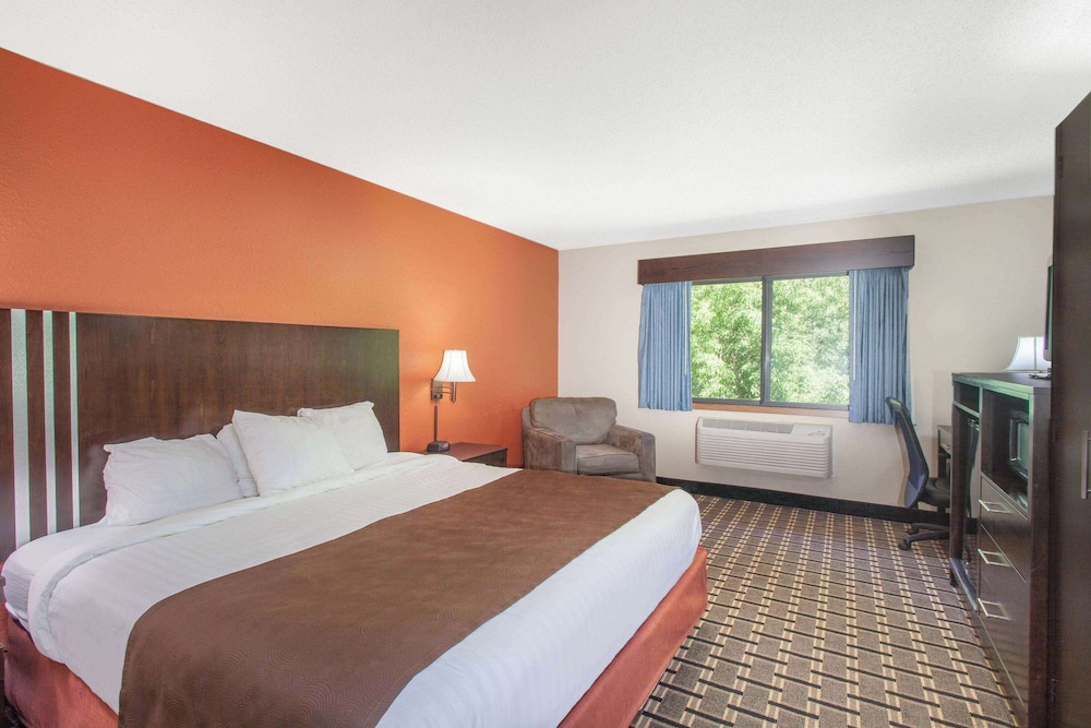 Room, 1 King Bed, Non Smoking photo 1