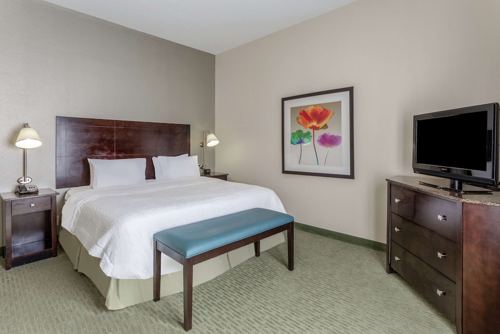 Classic Room, 1 King Bed, Accessible (Roll-In Shower) - Photo 3