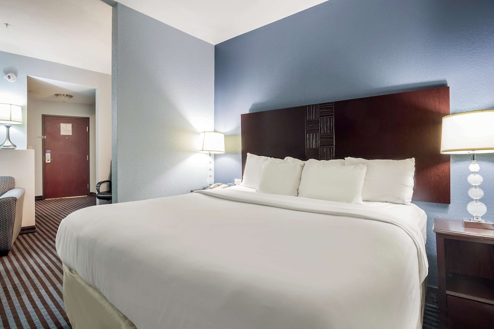 Standard Suite, 1 King Bed, Accessible, Non Smoking - Photo 6
