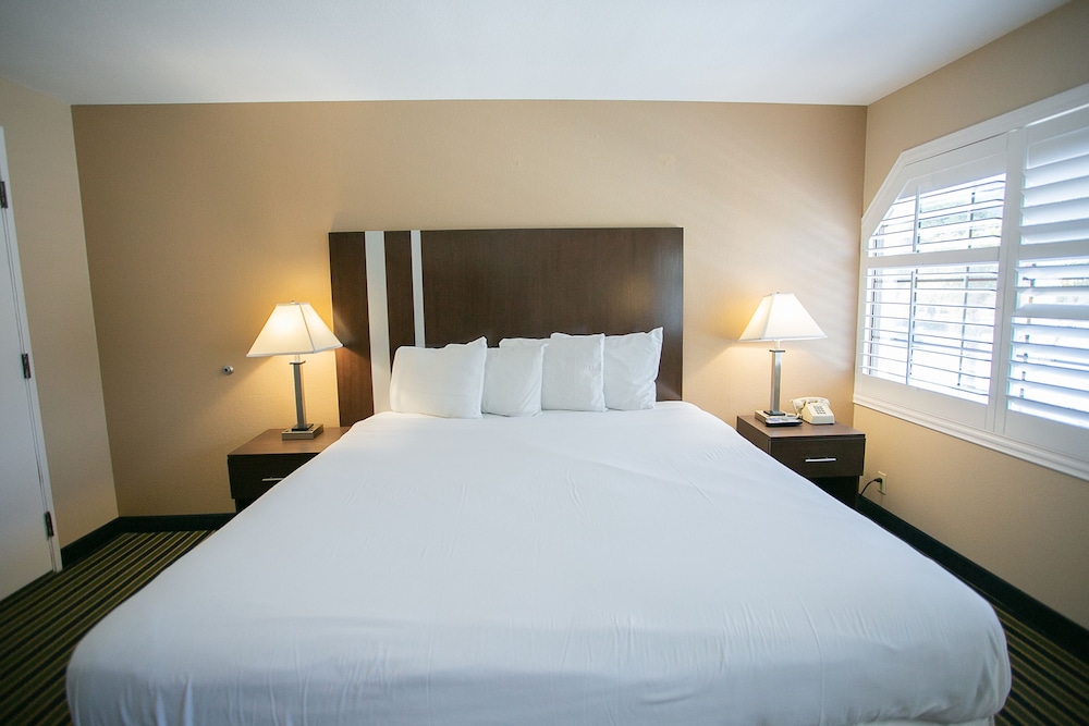 Room, 1 King Bed - Photo 8