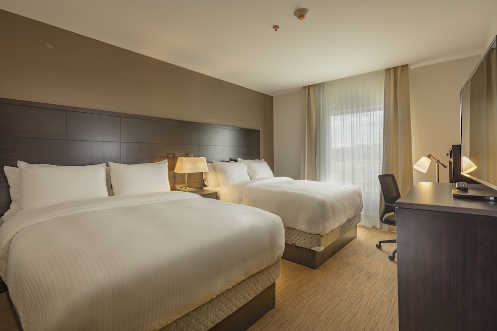 Room, 2 Bedrooms, Kitchen