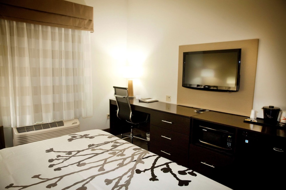 Room, 1 King Bed, Accessible, Non Smoking photo 2