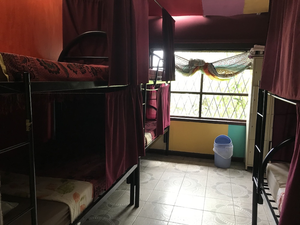 Shared Dormitory photo 1