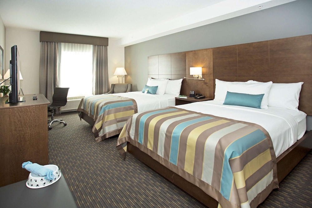 Room, 2 Queen Beds, Accessible, Non Smoking