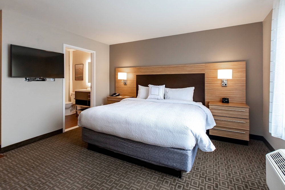 Suite, 1 Bedroom - Photo 2