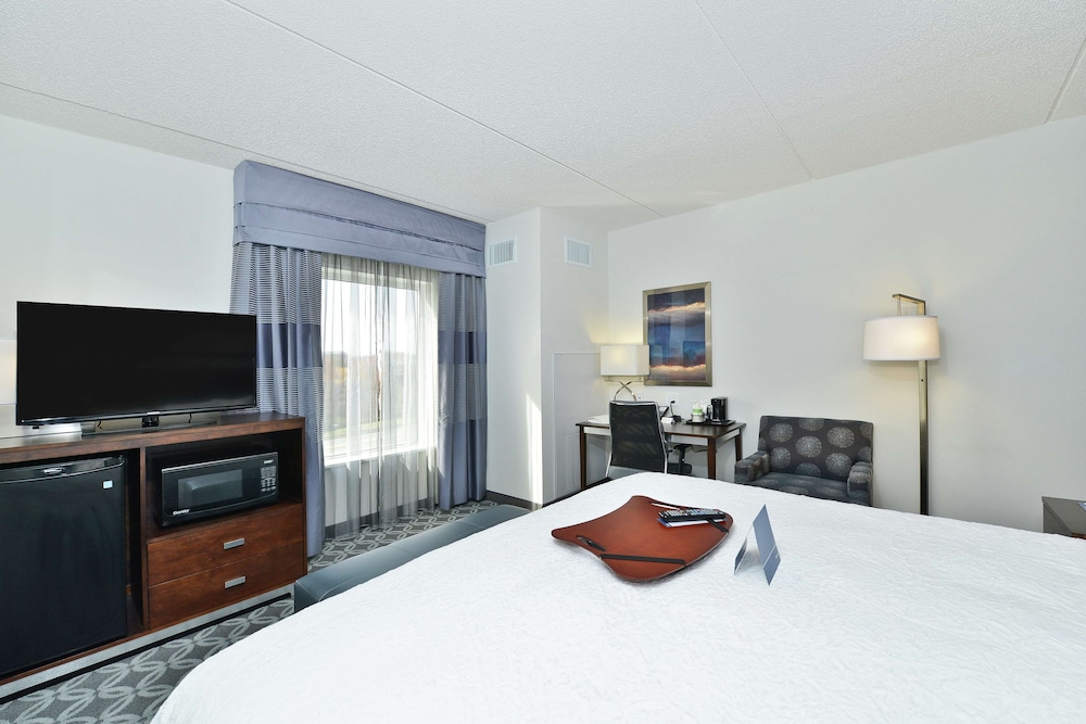 One King Bed photo 3