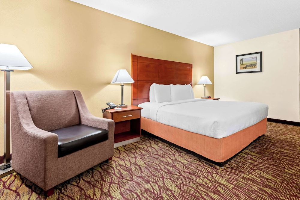 Standard Room, 1 King Bed, Accessible, Non Smoking photo 1
