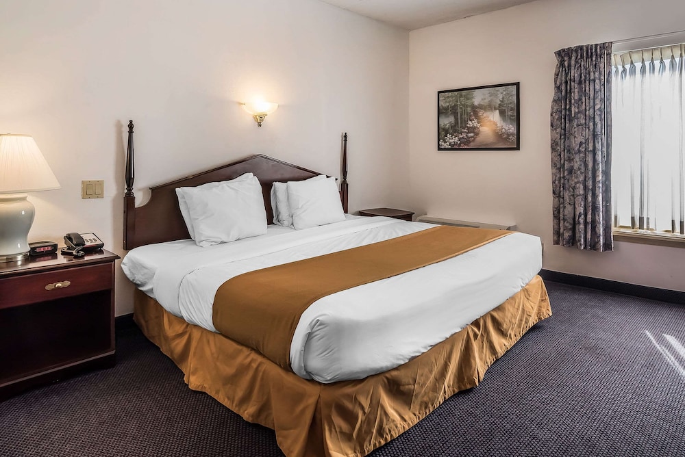 Suite, 1 King Bed photo 1