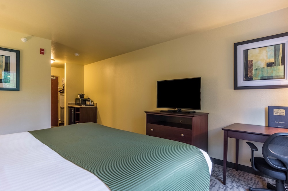 Room, 1 King Bed, Non Smoking photo 3