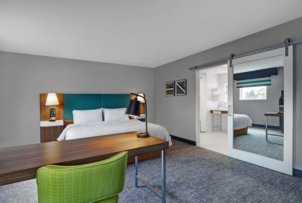 Studio Suite, 1 King Bed, Accessible, Non Smoking (Mobility & Hearing, Roll-in Shower)