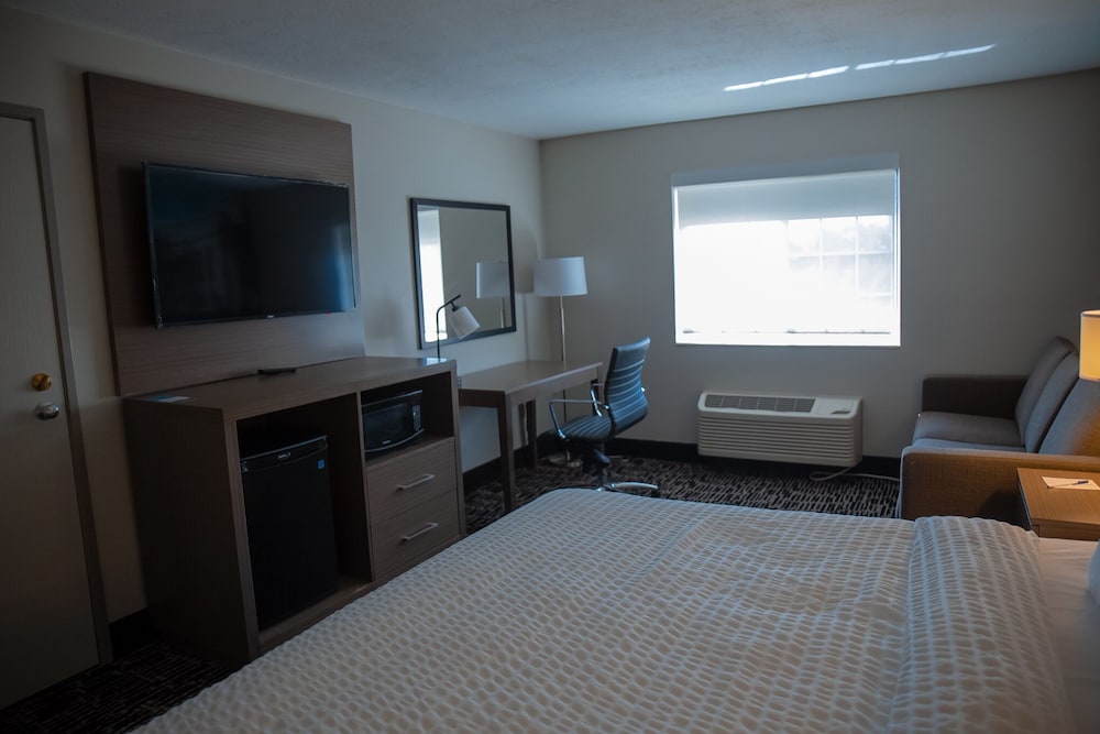 Standard Room, 1 King Bed, Non Smoking - Photo 9