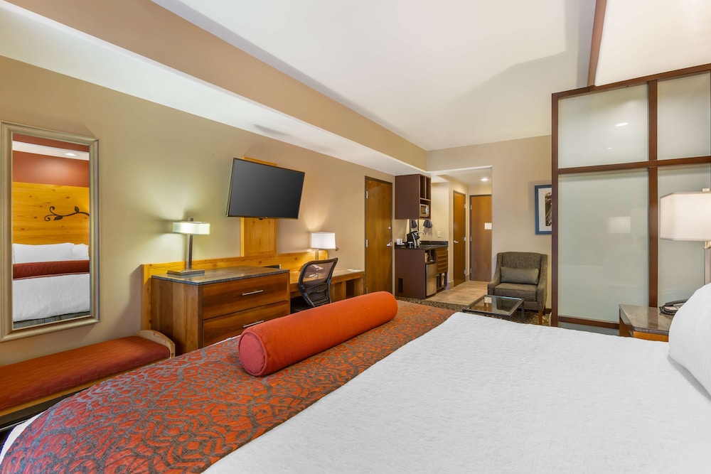 Standard Room, 1 King Bed, Non Smoking (with Sofabed) photo 3