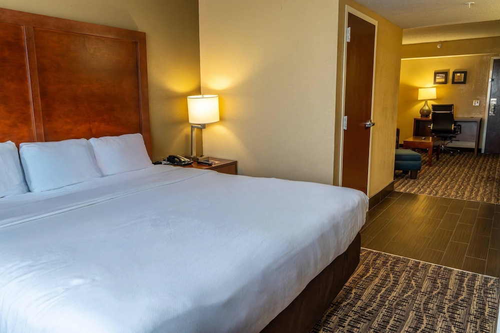Suite, 1 King Bed with Sofa bed, Non Smoking photo 1