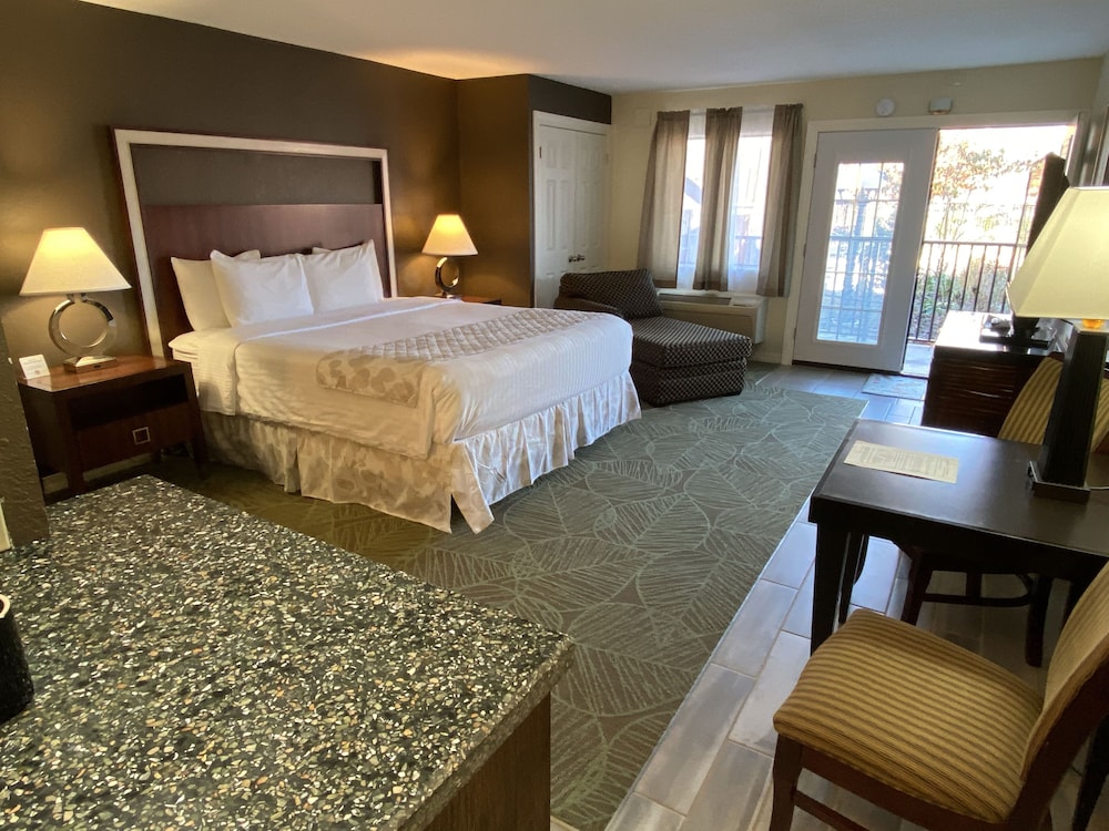 Executive Triple Room, 1 King Bed, Kitchenette, Courtyard View photo 1