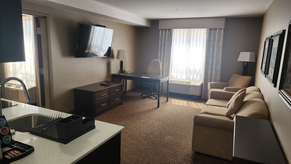 Business Suite, 1 King Bed photo 3