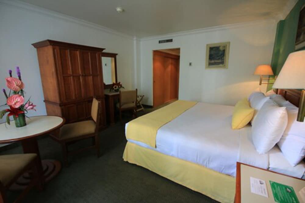 Deluxe Room, 1 King Bed photo 2