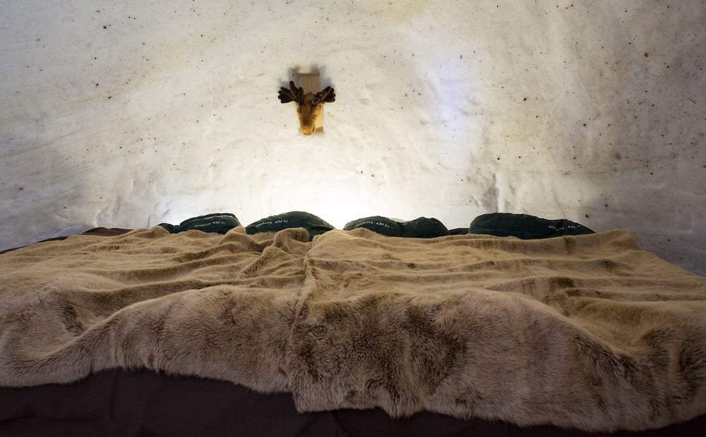 1 Bed In A Shared Dormitory Of 8 Persons