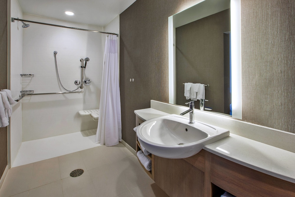 Suite, 1 King Bed with Sofa bed (Mobility/Hearing Access, Roll-In Shwr)