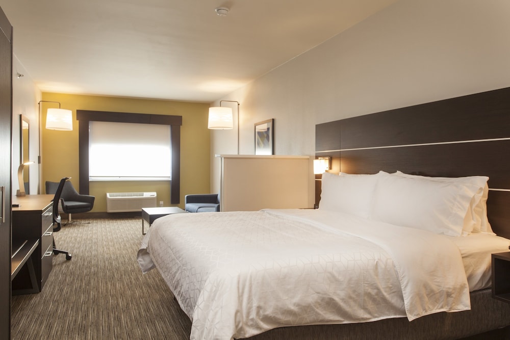 Suite, 1 King Bed, Accessible (Communication, Roll-In Shower) photo 1